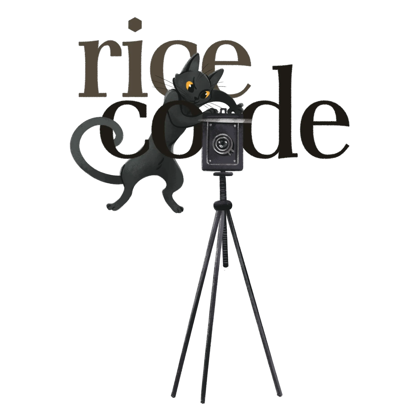 riceco.de